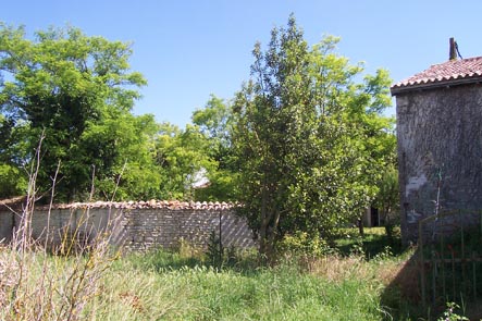 fond jardin